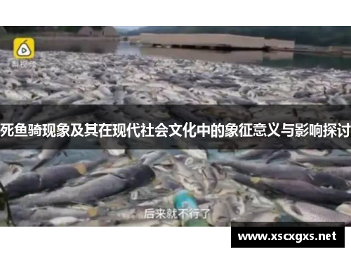 死鱼骑现象及其在现代社会文化中的象征意义与影响探讨